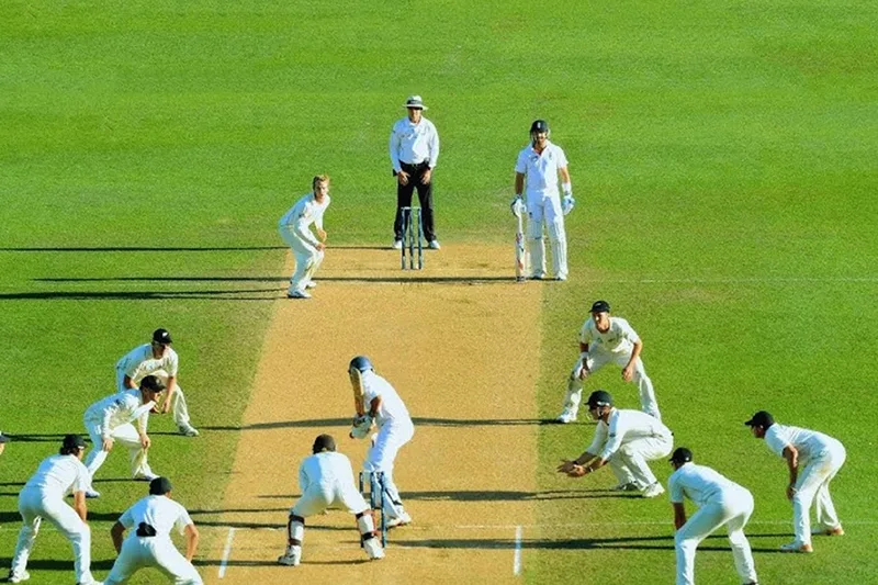 cach tinh diem cricket