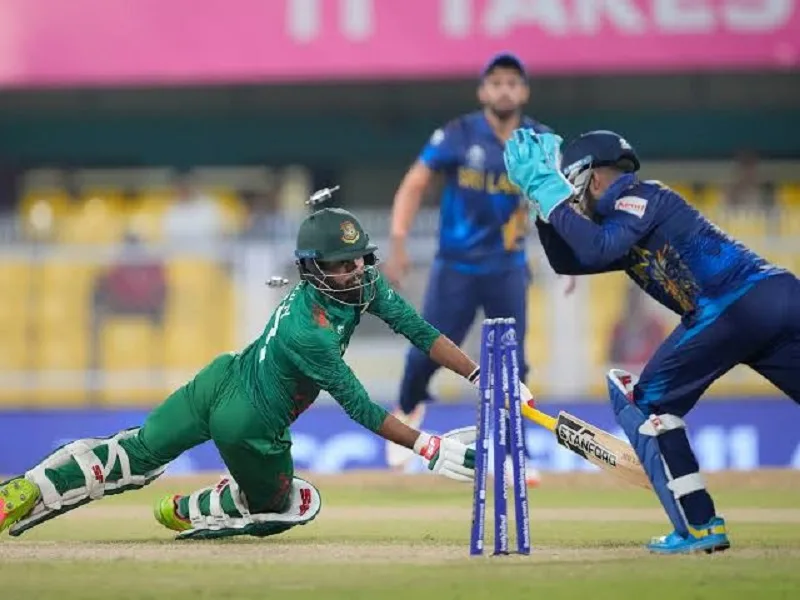 cricket world cup